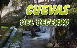 Logo de Portal de Cuevas del Becerro - La Cueva del Becerro - Serranía de Ronda