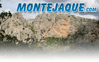 Logo de Portal de Montejaque - montejaque - Serranía de Ronda