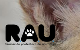 Logo de Protectora RAU - perros, gatos - Ronda